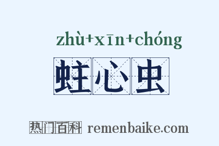 蛀心虫是什么意思的图片